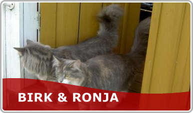 Birk & Ronja